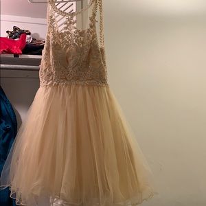 Quincena/Sweet sixteen court dress